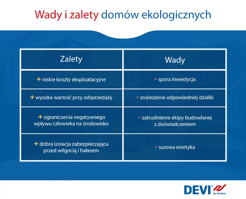 ekodomy: zalety i wady infografika