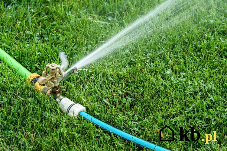 Podlewanie trawnika zwiększa średnie zużycie wody na osobę w domu, i ile ono wynosi