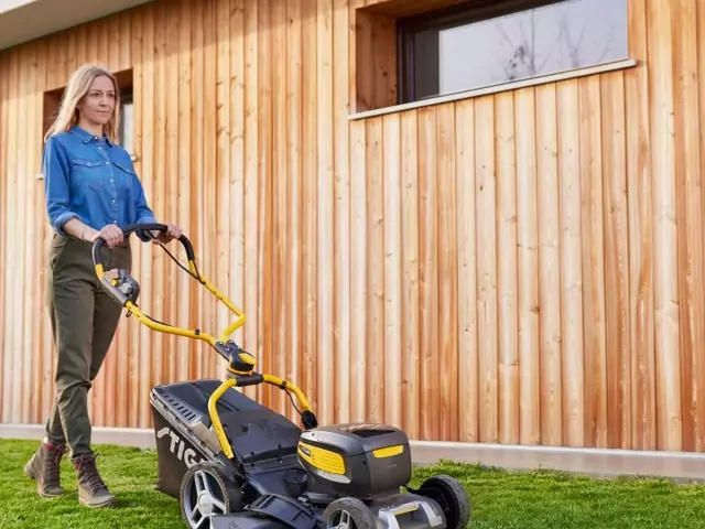 Trawnik na wiosnę: jak zadbać