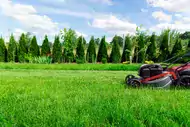 Częstotliwość i warunki koszenia trawnika