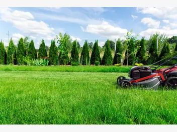 Ilustracja artykułu koszenie trawnika. jak często i w jakich warunkach to robić?