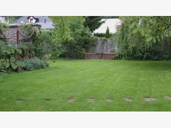 Ilustracja artykułu zakładanie trawnika — postaw na trawnik, którego nie musisz nawozić