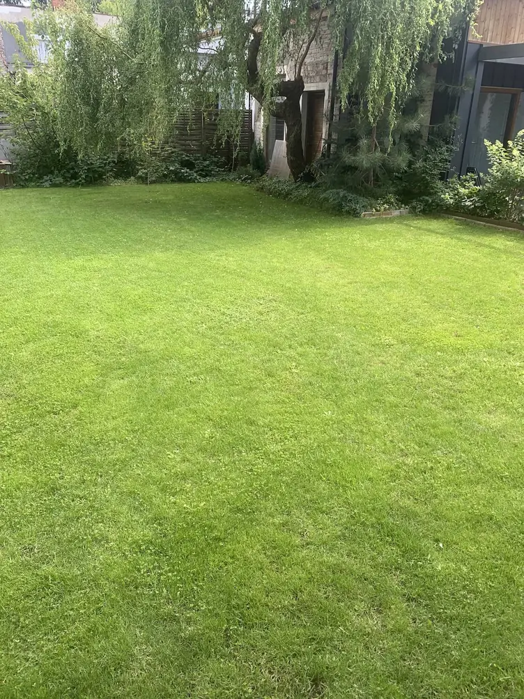 Zakładanie trawnika — postaw na trawnik, którego nie musisz nawozić