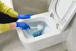 Usuwanie kamienia z toalety - 3 metody
