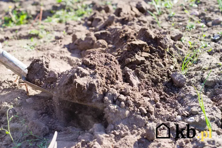 Gleba w ogrodzie na łopacie, a także rodzaje gleb, informacje na ich temat i występowanie