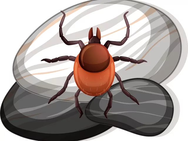 Rozpoznawanie i zwalczanie jaj pluskiew