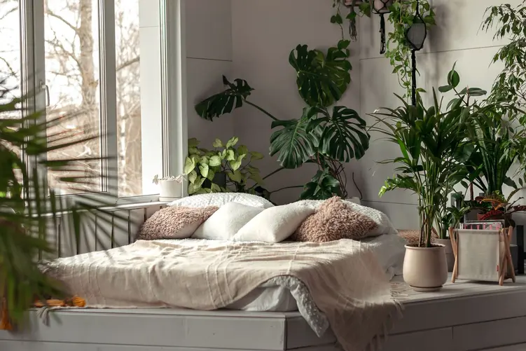 Czy sypialnia może być eko? Sprawdź, jak urządzić wnętrze w zgodzie z naturą