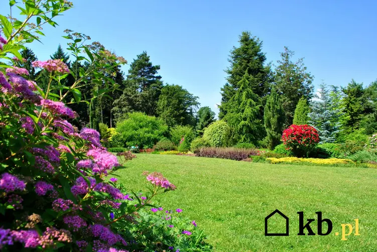 Zielony ogórd z kwiatami i krzewami, a także koszt aranżacji ogrodu przez firmę