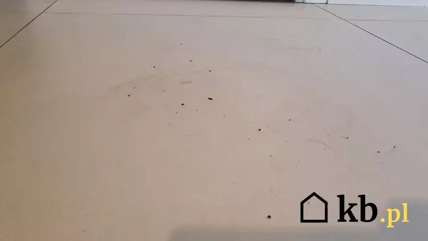 Brudna podłoga przed mopowaniem