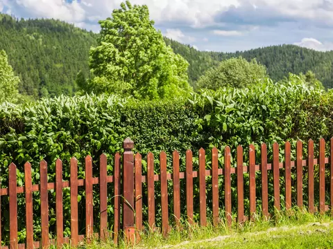 Estetyczne i funkcjonalne ogrodzenia domu
