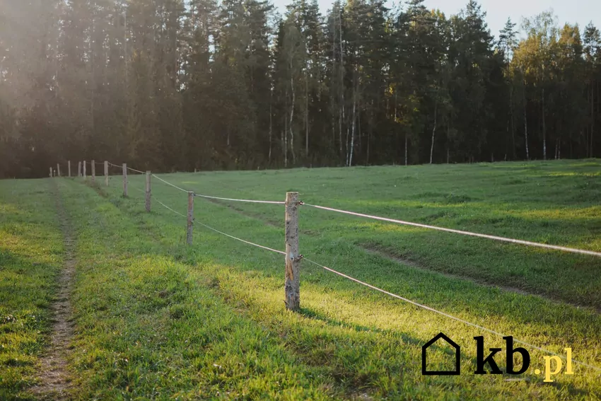 Przed postawieniem ogrodzenia warto sprawdzić przebieg granic działki w ewidencji gruntów lub u geodety Grodzenie działki