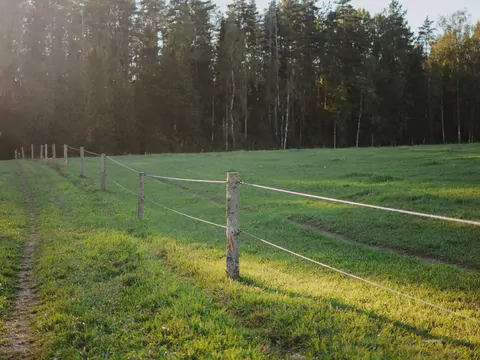Grodzenie działek a przepisy w gminie