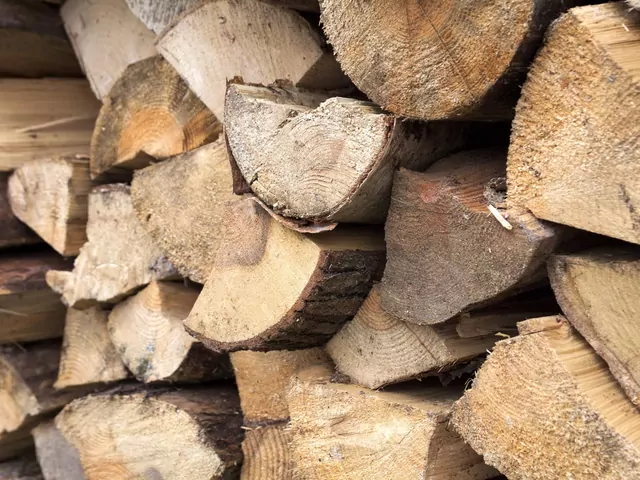 Bezpieczeństwo energetyczne a palenie drewnem