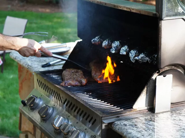 Serwis grilla gazowego