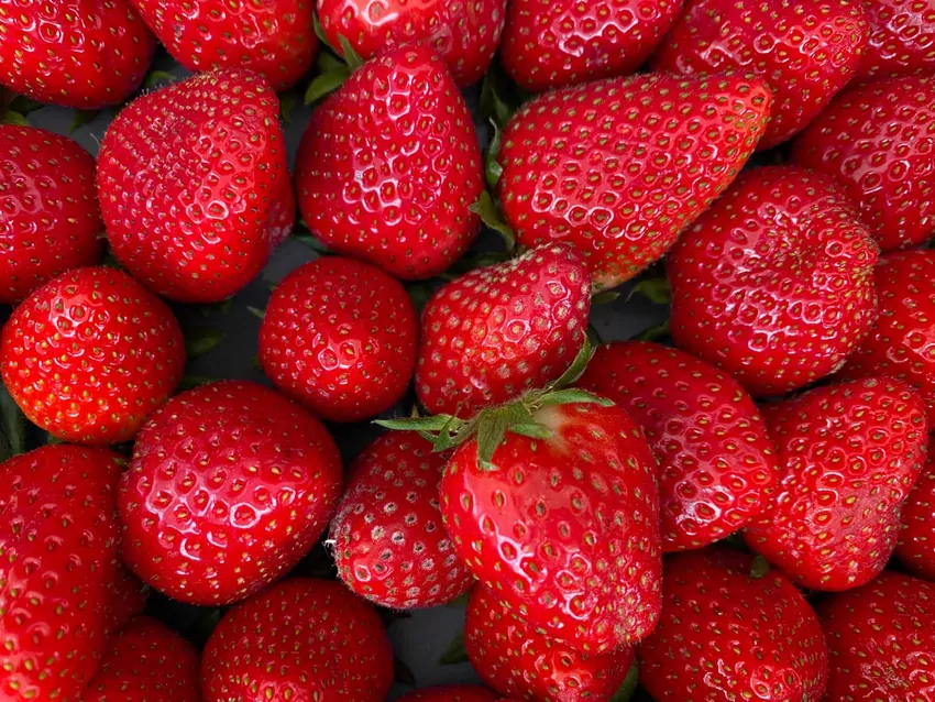 Wybieraj truskawki o intensywnie czerwonym kolorze i świeżym zapachu Truskawki
