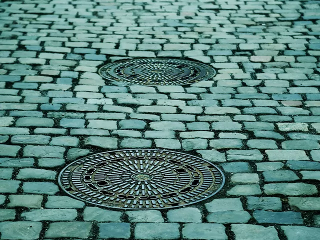 Czym czyścić kostkę brukową?