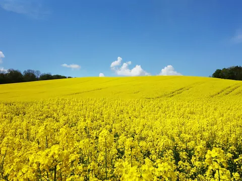 Domy o stalowej konstrukcji