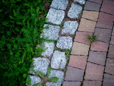 Zakładanie trawnika na działce