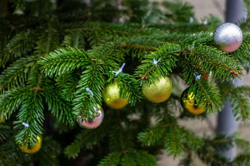 Jak wybrać sztuczną choinkę, która wygląda jak żywa?