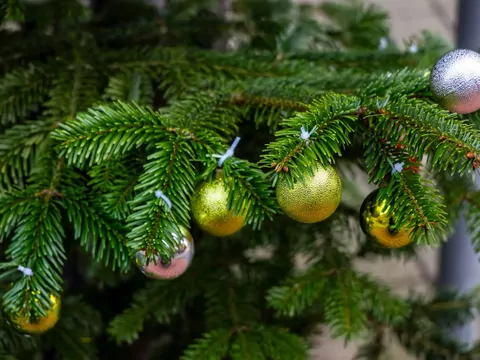 Jak wybrać sztuczną choinkę, która wygląda jak żywa?