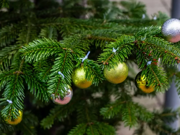 Jak wybrać sztuczną choinkę, która wygląda jak żywa?