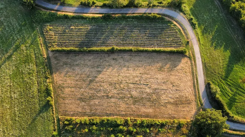 Roboty ziemne na działce budowlanej: co zaplanować przed wejściem ekip?