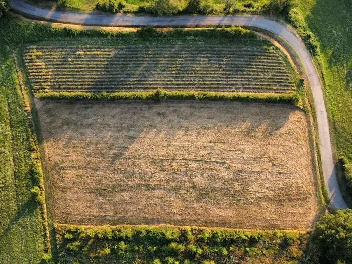 Roboty ziemne na działce budowlanej