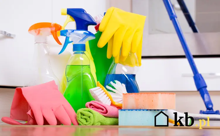 Aktualne cenniki usług sprzątania - zobacz, ile kosztuje sprzątanie domu i biura w Twojej okolicy
