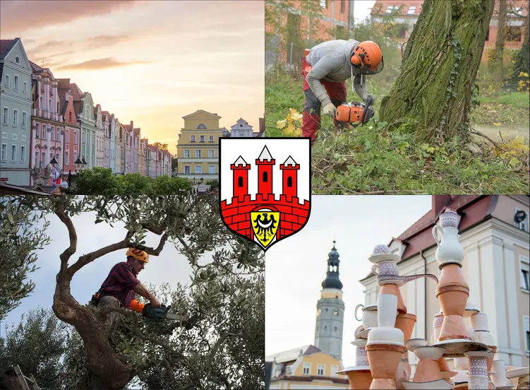 Bolesławiec - cennik wycinki drzew