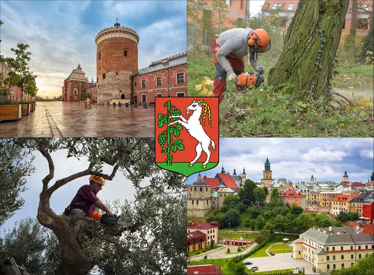 Lublin - cennik wycinki drzew