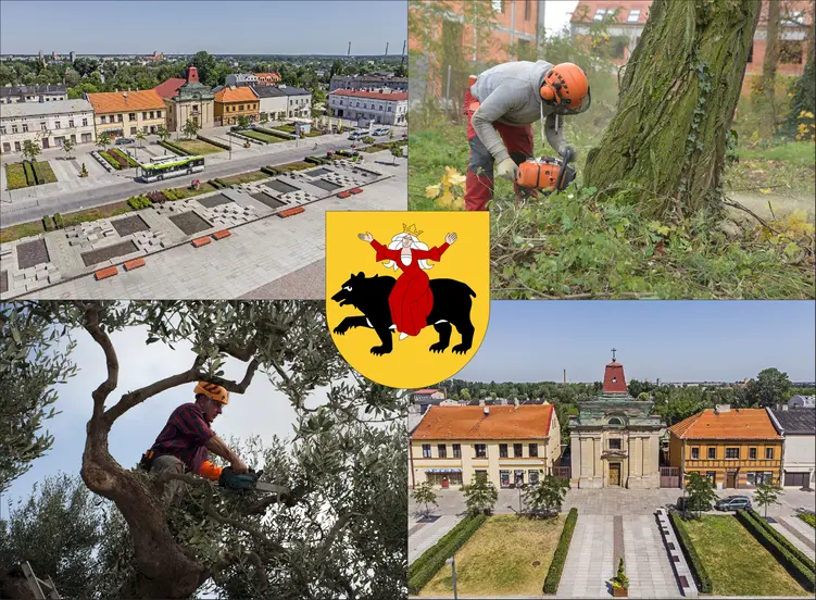 Tomaszów Mazowiecki - cennik wycinki drzew