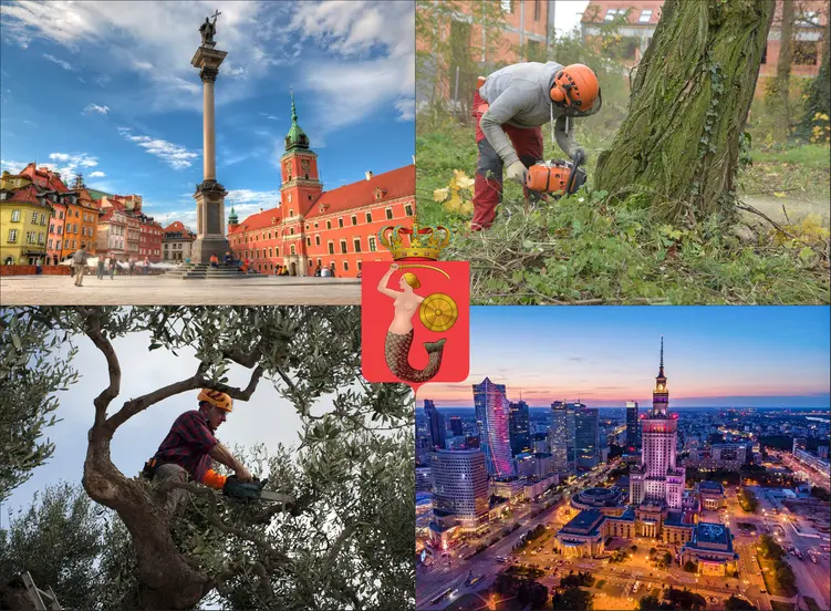 Warszawa - cennik wycinki drzew - zobacz lokalne ceny ścinania drzew