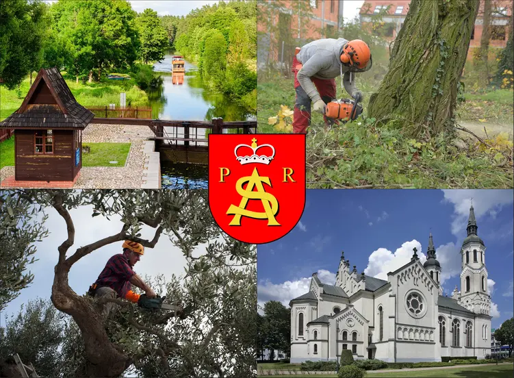 Augustów - cennik wycinki drzew