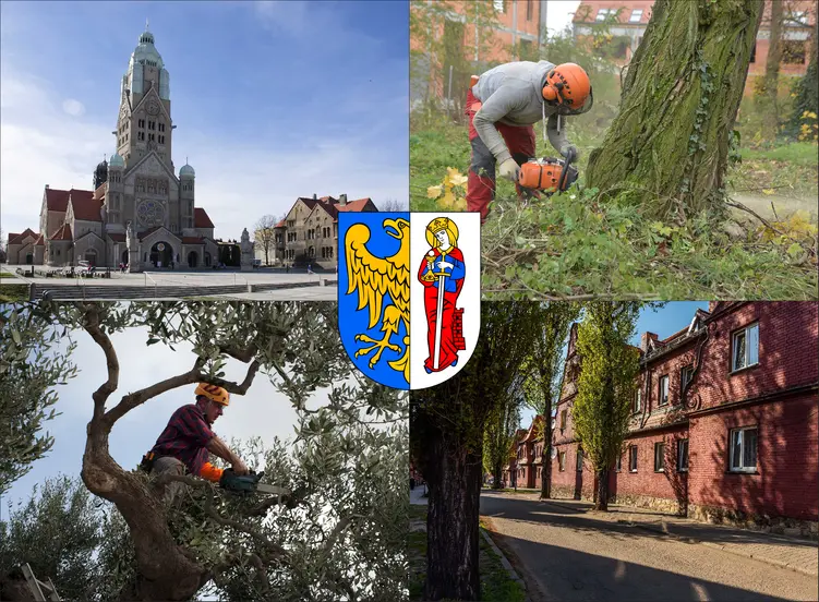 Ruda Śląska - cennik wycinki drzew
