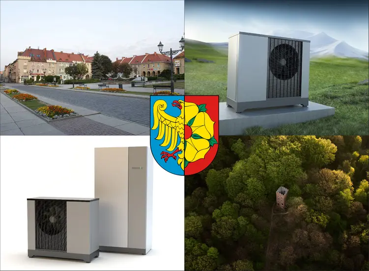 Wodzisław Śląski - cennik montażu pomp ciepła - zobacz ceny instalacji gruntowej pompy ciepła