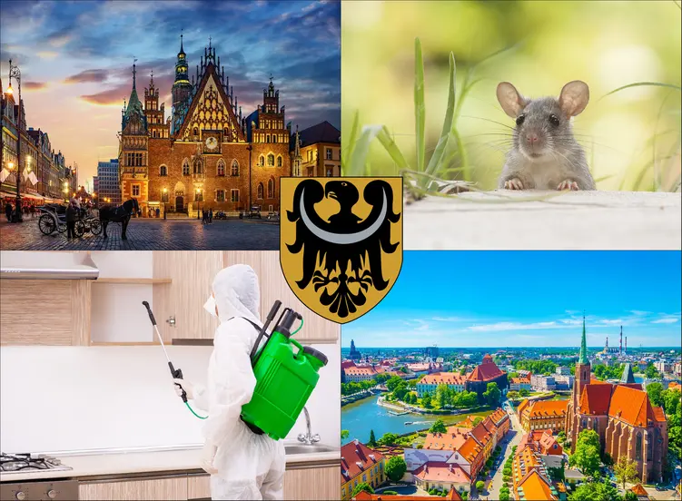 Wrocław - cennik dezynsekcji i deratyzacji