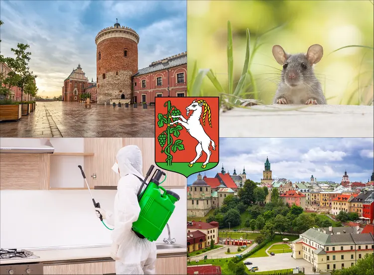 Lublin - cennik dezynsekcji i deratyzacji