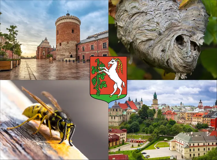 Lublin - cennik usuwania gniazd os i szerszeni - sprawdź lokalne ceny