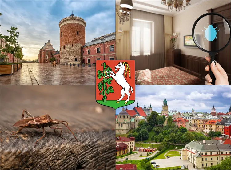 Lublin - cennik odpluskwiania