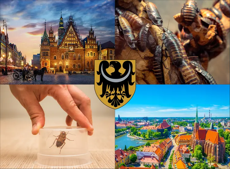Wrocław - cennik zwalczania karaluchów i prusaków