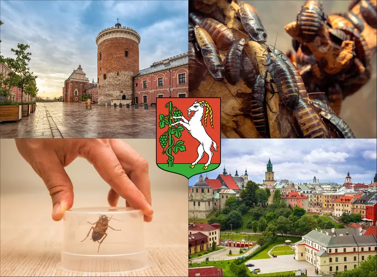 Lublin - cennik zwalczania karaluchów i prusaków