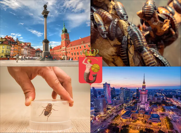 Warszawa - cennik zwalczania karaluchów i prusaków
