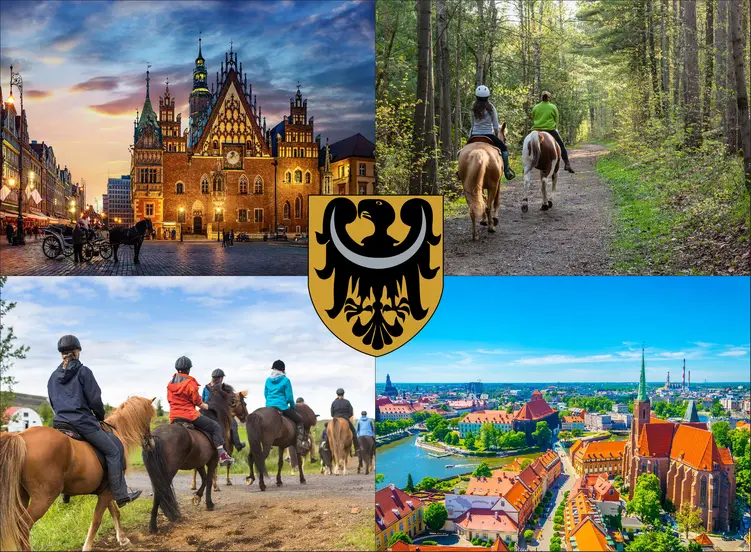 Wrocław - cennik jazdy konnej