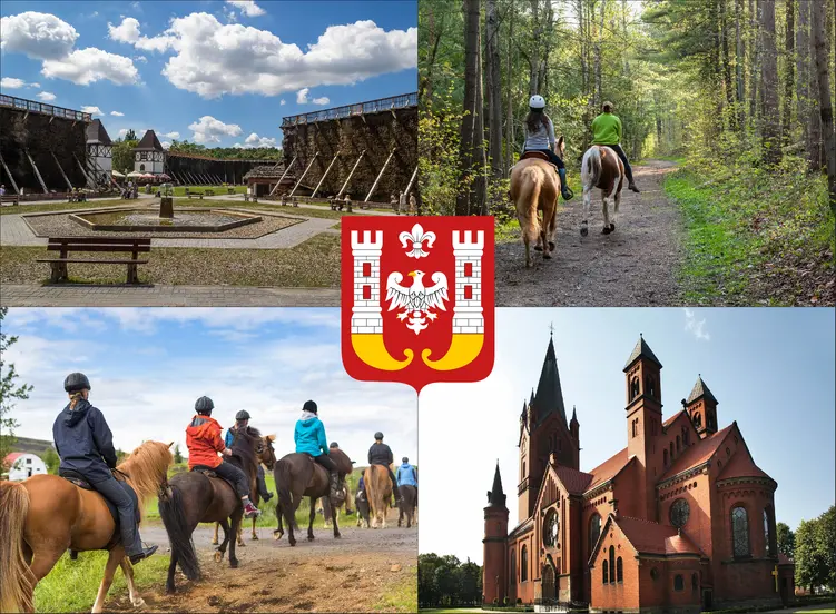 Inowrocław - cennik jazdy konnej - zobacz ceny w lokalnych stadninach