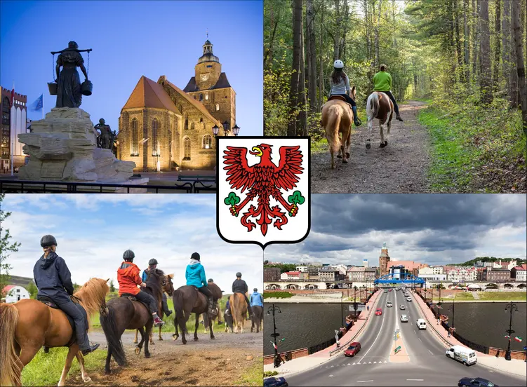Gorzów Wielkopolski - cennik jazdy konnej