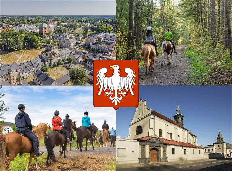 Piotrków Trybunalski - cennik jazdy konnej - zobacz ceny w lokalnych stadninach