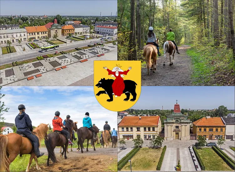 Tomaszów Mazowiecki - cennik jazdy konnej - zobacz ceny w lokalnych stadninach