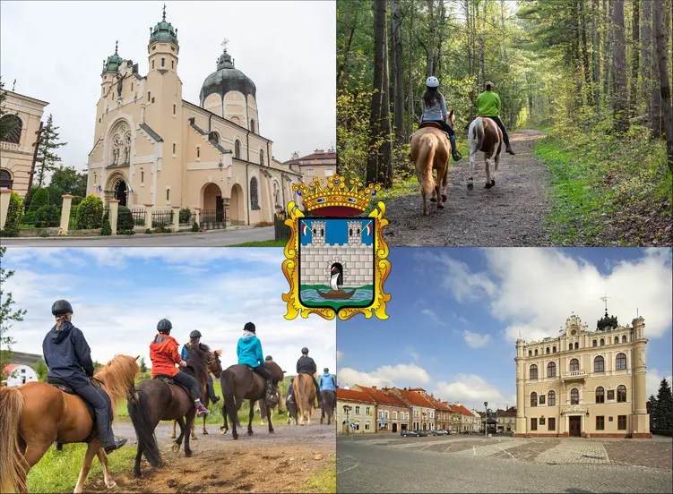 Jarosław - cennik jazdy konnej - zobacz ceny w lokalnych stadninach