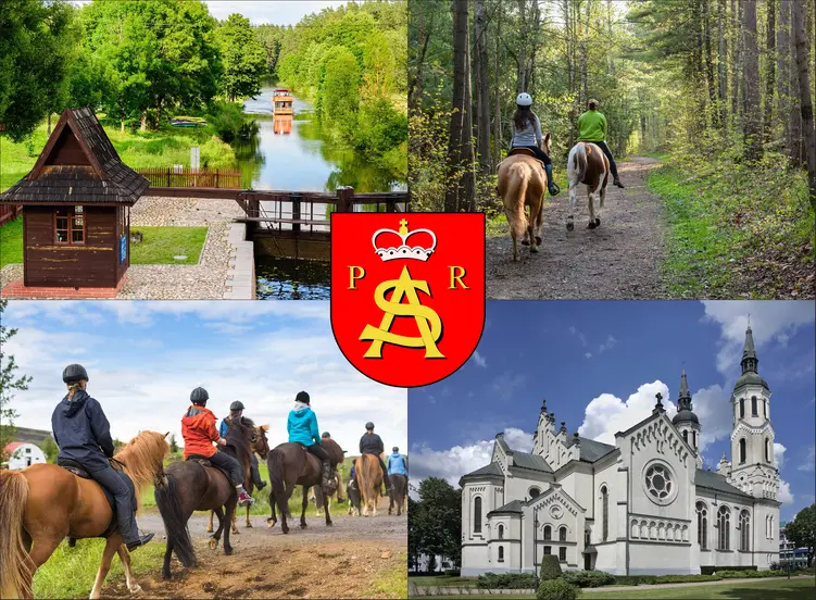 Augustów - cennik jazdy konnej