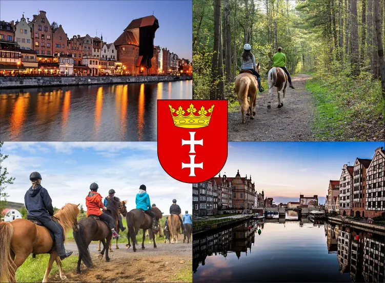 Gdańsk - cennik jazdy konnej - zobacz ceny w lokalnych stadninach